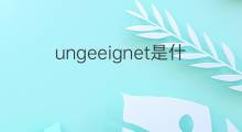 ungeeignet是什么意思 ungeeignet的中文翻译、读音、例句
