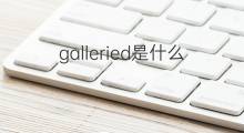 galleried是什么意思 galleried的中文翻译、读音、例句