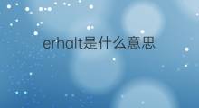 erhalt是什么意思 erhalt的中文翻译、读音、例句
