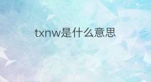 txnw是什么意思 txnw的中文翻译、读音、例句