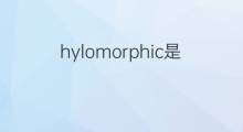 hylomorphic是什么意思 hylomorphic的中文翻译、读音、例句