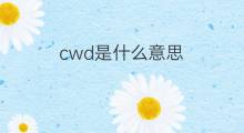 cwd是什么意思 cwd的中文翻译、读音、例句