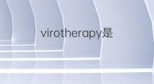 virotherapy是什么意思 virotherapy的中文翻译、读音、例句