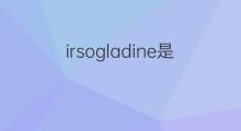 irsogladine是什么意思 irsogladine的中文翻译、读音、例句