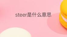 steer是什么意思 steer的中文翻译、读音、例句