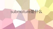 submature是什么意思 submature的中文翻译、读音、例句