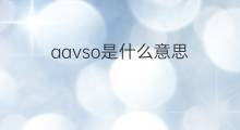 aavso是什么意思 aavso的中文翻译、读音、例句