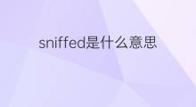 sniffed是什么意思 sniffed的中文翻译、读音、例句