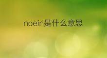 noein是什么意思 noein的中文翻译、读音、例句