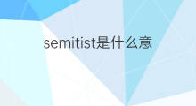 semitist是什么意思 semitist的中文翻译、读音、例句