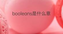 booleans是什么意思 booleans的中文翻译、读音、例句