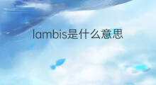 lambis是什么意思 lambis的中文翻译、读音、例句