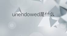 unendowed是什么意思 unendowed的中文翻译、读音、例句