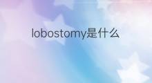 lobostomy是什么意思 lobostomy的中文翻译、读音、例句