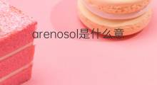 arenosol是什么意思 arenosol的中文翻译、读音、例句