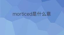 morticed是什么意思 morticed的中文翻译、读音、例句