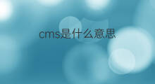 cms是什么意思 cms的中文翻译、读音、例句