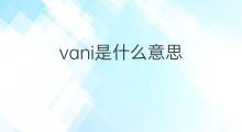 vani是什么意思 vani的中文翻译、读音、例句