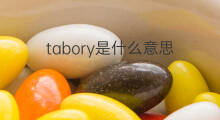 tabory是什么意思 tabory的中文翻译、读音、例句