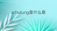 schulung是什么意思 schulung的中文翻译、读音、例句