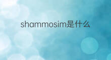 shammosim是什么意思 shammosim的中文翻译、读音、例句