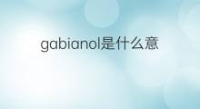 gabianol是什么意思 gabianol的中文翻译、读音、例句
