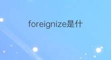 foreignize是什么意思 foreignize的中文翻译、读音、例句