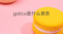 gatico是什么意思 gatico的中文翻译、读音、例句
