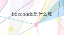 bozcaada是什么意思 bozcaada的中文翻译、读音、例句