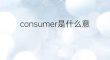 consumer是什么意思 consumer的中文翻译、读音、例句