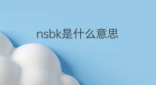 nsbk是什么意思 nsbk的中文翻译、读音、例句