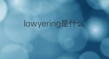 lawyering是什么意思 lawyering的中文翻译、读音、例句