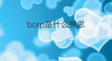 borp是什么意思 borp的中文翻译、读音、例句