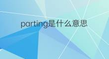 parting是什么意思 parting的中文翻译、读音、例句