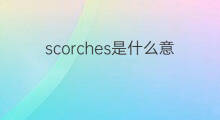 scorches是什么意思 scorches的中文翻译、读音、例句