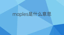 maples是什么意思 maples的中文翻译、读音、例句