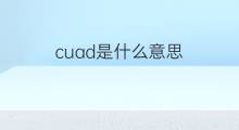 cuad是什么意思 cuad的中文翻译、读音、例句