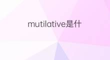 mutilative是什么意思 mutilative的中文翻译、读音、例句