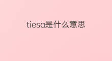 tiesa是什么意思 tiesa的中文翻译、读音、例句