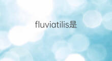 fluviatilis是什么意思 fluviatilis的中文翻译、读音、例句