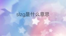 slzg是什么意思 slzg的中文翻译、读音、例句