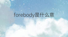 forebody是什么意思 forebody的中文翻译、读音、例句