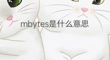mbytes是什么意思 mbytes的中文翻译、读音、例句