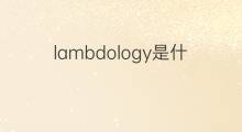 lambdology是什么意思 lambdology的中文翻译、读音、例句