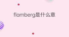 flamberg是什么意思 flamberg的中文翻译、读音、例句