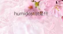humidostat是什么意思 humidostat的中文翻译、读音、例句