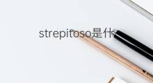 strepitoso是什么意思 strepitoso的中文翻译、读音、例句