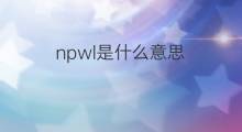 npwl是什么意思 npwl的中文翻译、读音、例句