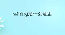 wining是什么意思 wining的中文翻译、读音、例句