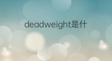 deadweight是什么意思 deadweight的中文翻译、读音、例句